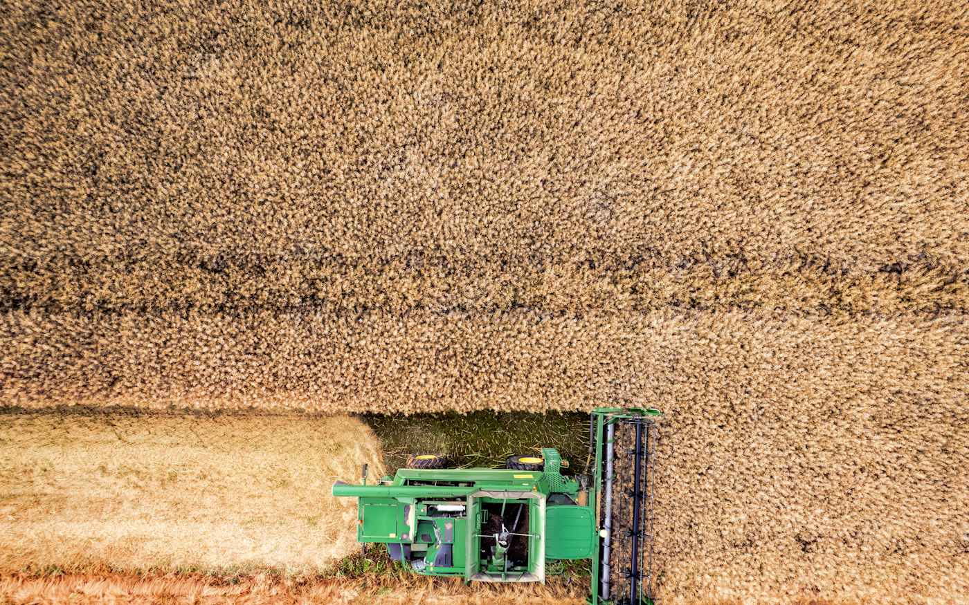 Vue aérienne d'un engin agricole vert traversant un champ de blé